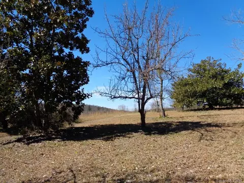2799 Bill Collins Rd, Tryon, NC 28782 photo 3