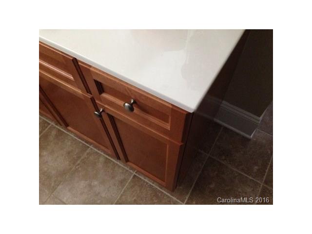 20309 Harroway Dr, Cornelius, NC 28031 photo 17