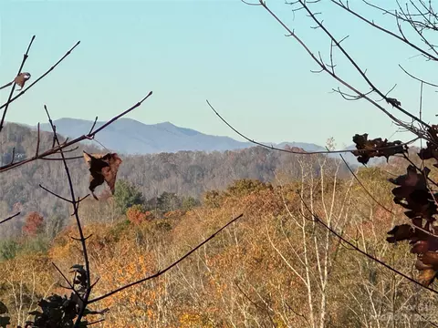 10 Clear Fork 530 Ln #530, Fairview, NC 28730