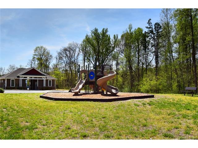 10753 Sapphire Trl, Davidson, NC 28036 photo 23