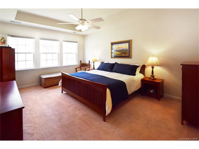 10753 Sapphire Trl, Davidson, NC 28036 photo 11
