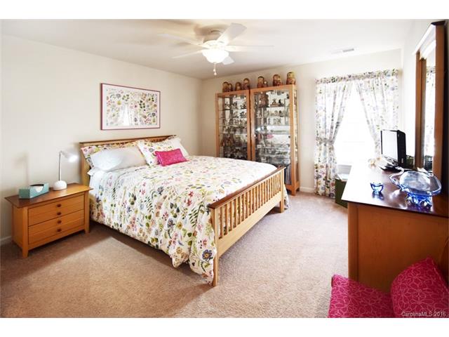 10753 Sapphire Trl, Davidson, NC 28036 photo 17