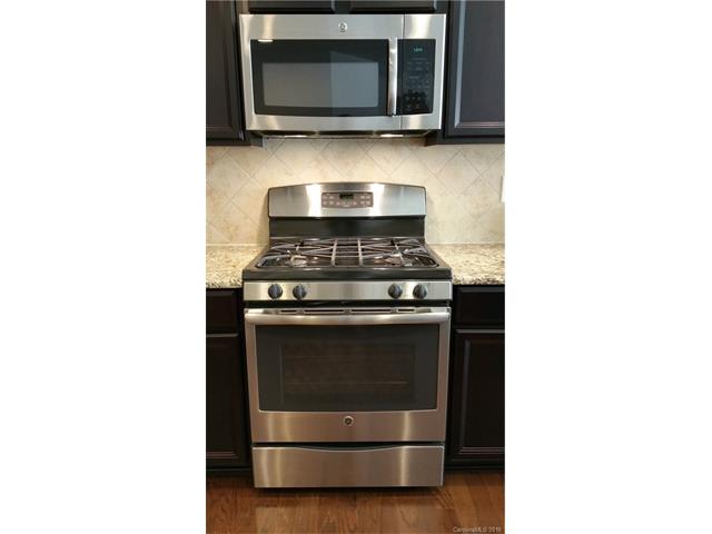 10753 Sapphire Trl, Davidson, NC 28036 photo 7