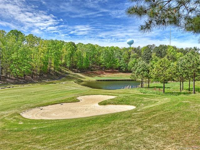 1034 Silver Gull Dr #_, Fort Mill, SC 29708 photo 23