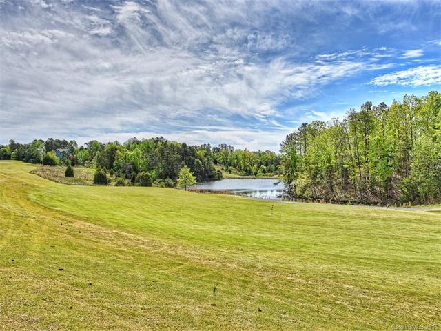 1034 Silver Gull Dr #_, Fort Mill, SC 29708 photo 24