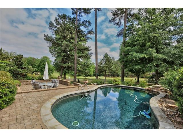 13408 Robert Walker Dr, Davidson, NC 28036 photo 21