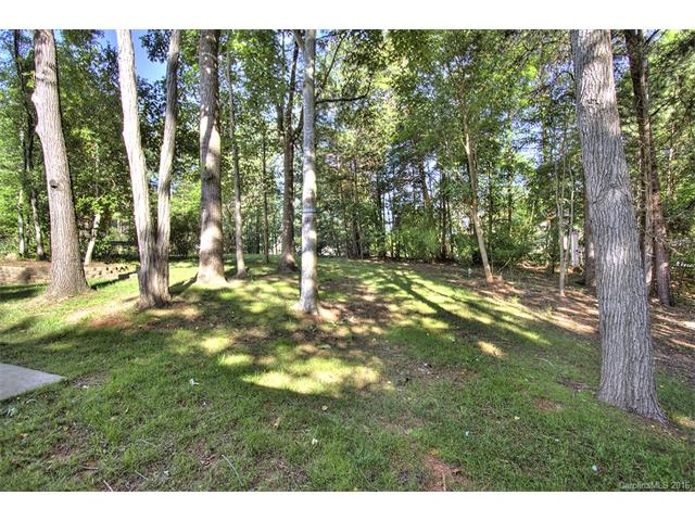 12097 Baywoods Dr, Fort Mill, SC 29708 photo 18