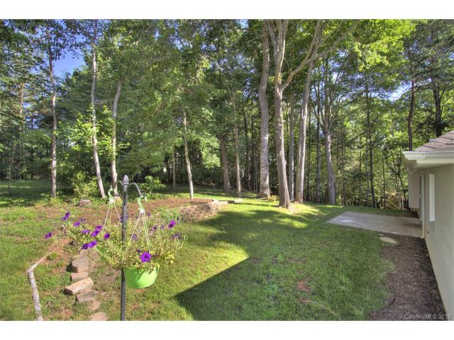 12097 Baywoods Dr, Fort Mill, SC 29708 photo 16