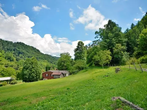 3691 Max Patch Rd, Clyde, NC 28721 photo 23