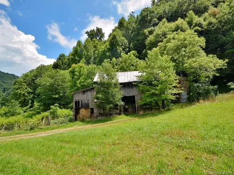 3691 Max Patch Rd, Clyde, NC 28721 photo 22