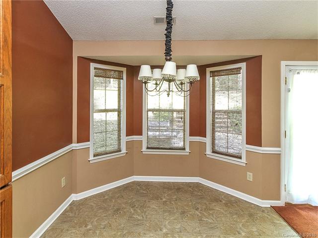 231 Bubbling Well Rd, Denver, NC 28037 photo 8