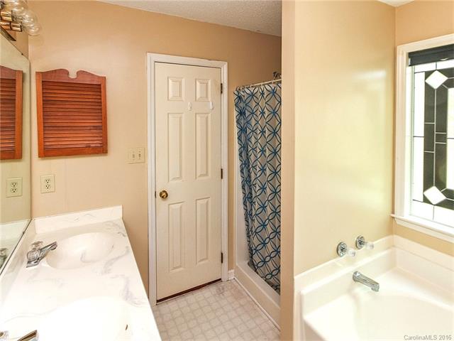 231 Bubbling Well Rd, Denver, NC 28037 photo 11