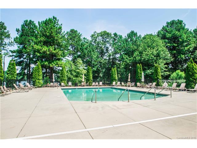 156 Lavender Bloom Loop, Mooresville, NC 28115 photo 23