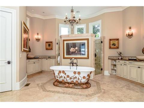 18010 Harbor Light Boulevard #:, Cornelius, NC 28031 photo 12