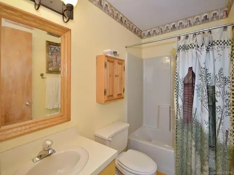 24 Thistle Rdg, Clyde, NC 28721 photo 16