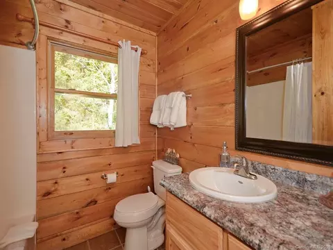 65 Blazing Star Ln, Clyde, NC 28721 photo 18