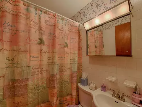 718 Mulberry St, Clyde, NC 28721 photo 13