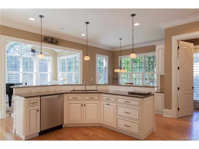 18830 River Falls Dr, Davidson, NC 28036 photo 18