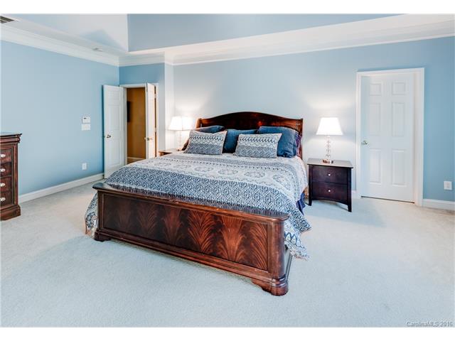 9814 Willow Leaf Ln, Cornelius, NC 28031 photo 13