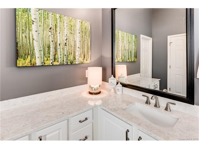 9814 Willow Leaf Ln, Cornelius, NC 28031 photo 16