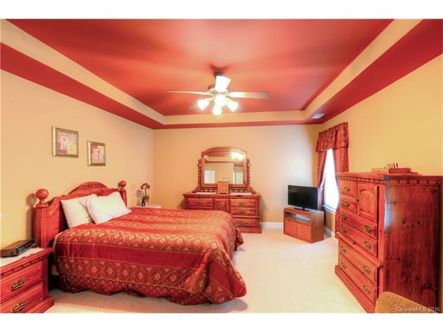 9619 Willow Leaf Ln, Cornelius, NC 28031 photo 12