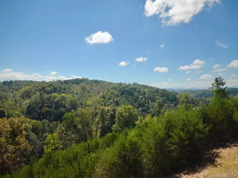 1126 Hazel Brook Rd, Marshall, NC 28753 photo 8