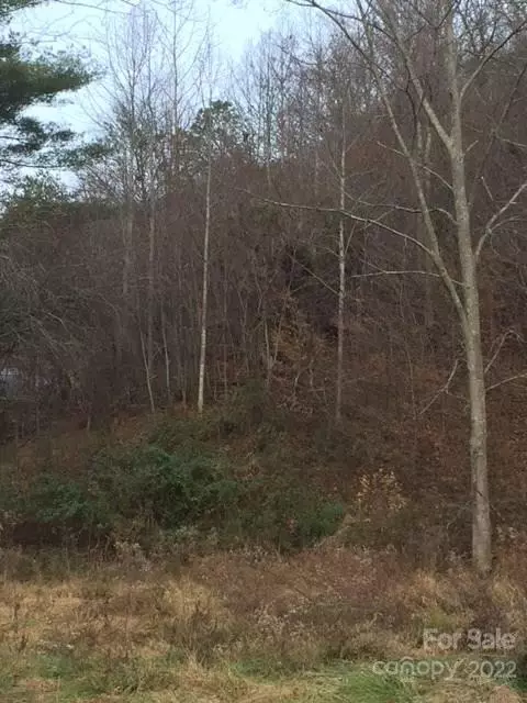 000 N Coyote Springs Farm 6c Rd #6C, Leicester, NC 28748