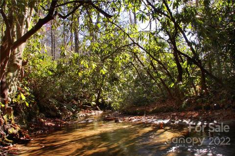 Lot 62 Peppervine 62 Circle #62, Brevard, NC 28712