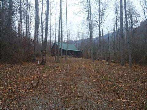 7661 Little Pine Rd, Marshall, NC 28753 photo 6
