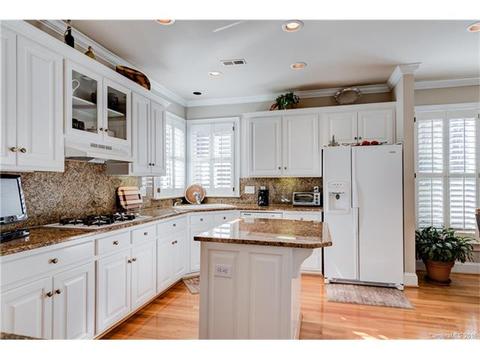 17632 River Ford Dr, Davidson, NC 28036 photo 3