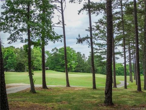 17632 River Ford Dr, Davidson, NC 28036 photo 19