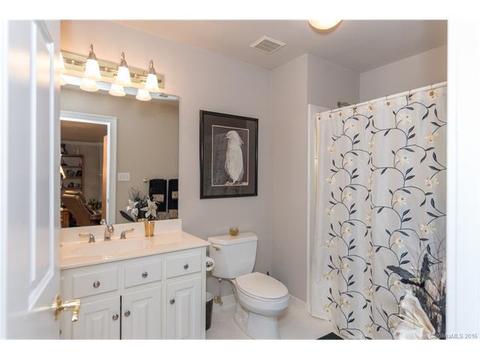 17632 River Ford Dr, Davidson, NC 28036 photo 18
