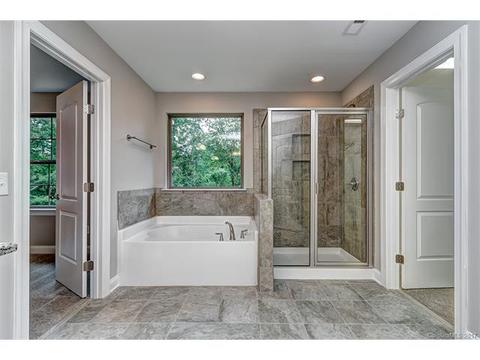 16632 Ruby Hill Pl, Charlotte, NC 28278 photo 13