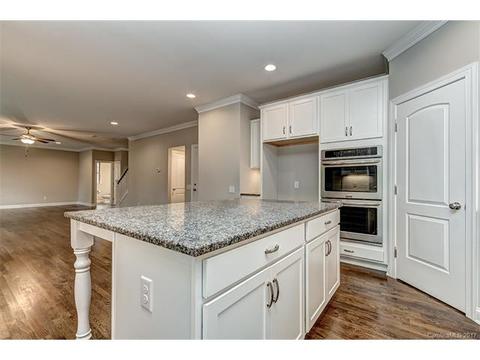 16632 Ruby Hill Pl, Charlotte, NC 28278 photo 11