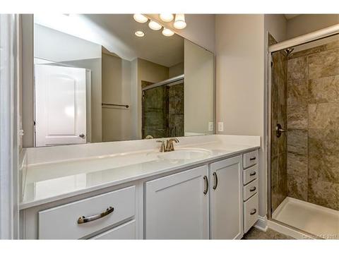 16632 Ruby Hill Pl, Charlotte, NC 28278 photo 16