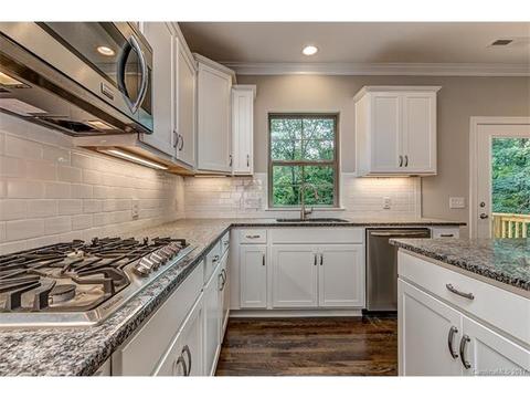 16632 Ruby Hill Pl, Charlotte, NC 28278 photo 10