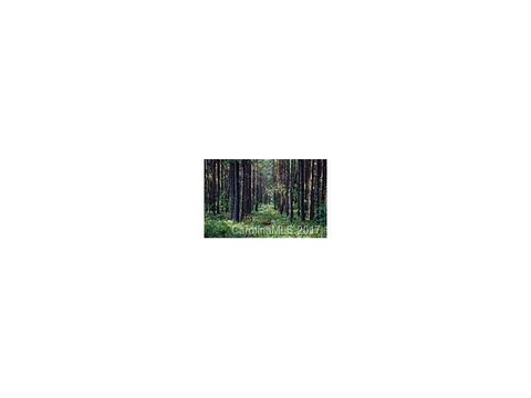5000 Townsend Rd, Lancaster, SC 29720 photo 20