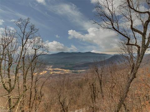 305 Kincaid Dr, Mill Spring, NC 28756 photo 16