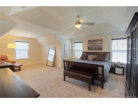 10984 Sunstone Dr, Davidson, NC 28036 photo 13