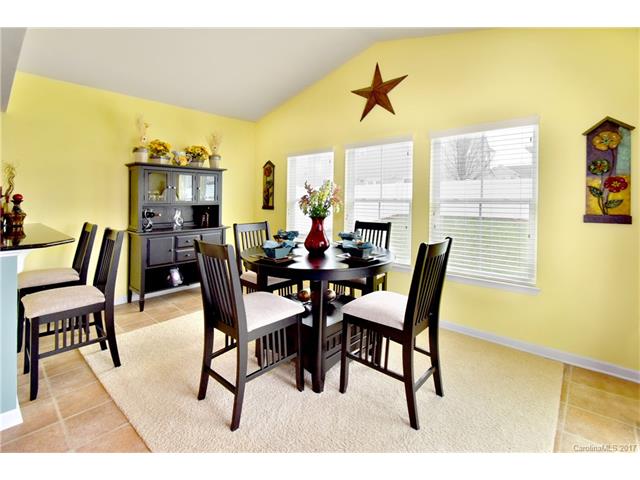 10894 Tailwater St, Davidson, NC 28036 photo 10