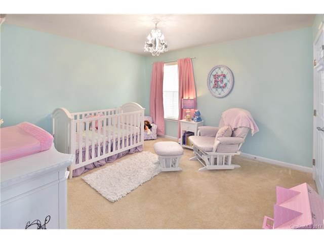 10894 Tailwater St, Davidson, NC 28036 photo 19