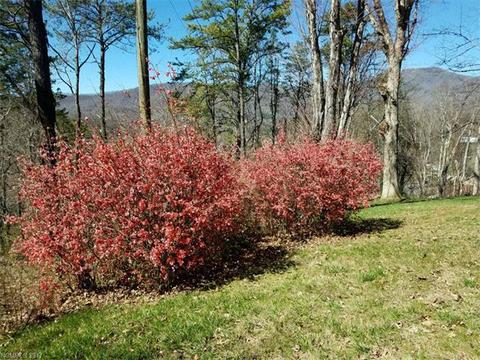 303 Lee St, Sylva, NC 28779 photo 19