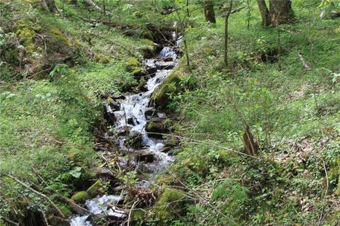 0000 Big Spring 6169 Trl #61,69, Qualla, NC 28719