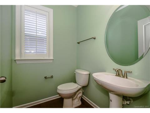 1502 Lovers Lawn Trce, Cornelius, NC 28031 photo 20