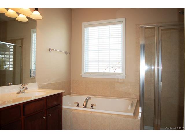 17536 Harbor Walk Dr, Cornelius, NC 28031 photo 11