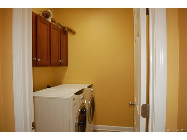 17536 Harbor Walk Dr, Cornelius, NC 28031 photo 17