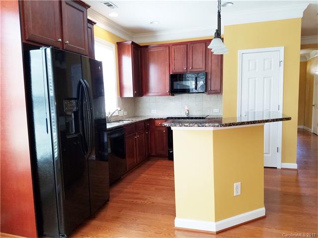 17536 Harbor Walk Dr, Cornelius, NC 28031 photo 8