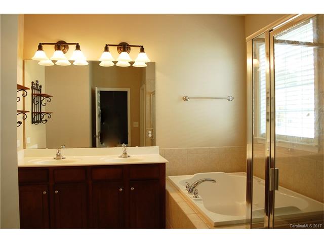 17536 Harbor Walk Dr, Cornelius, NC 28031 photo 10