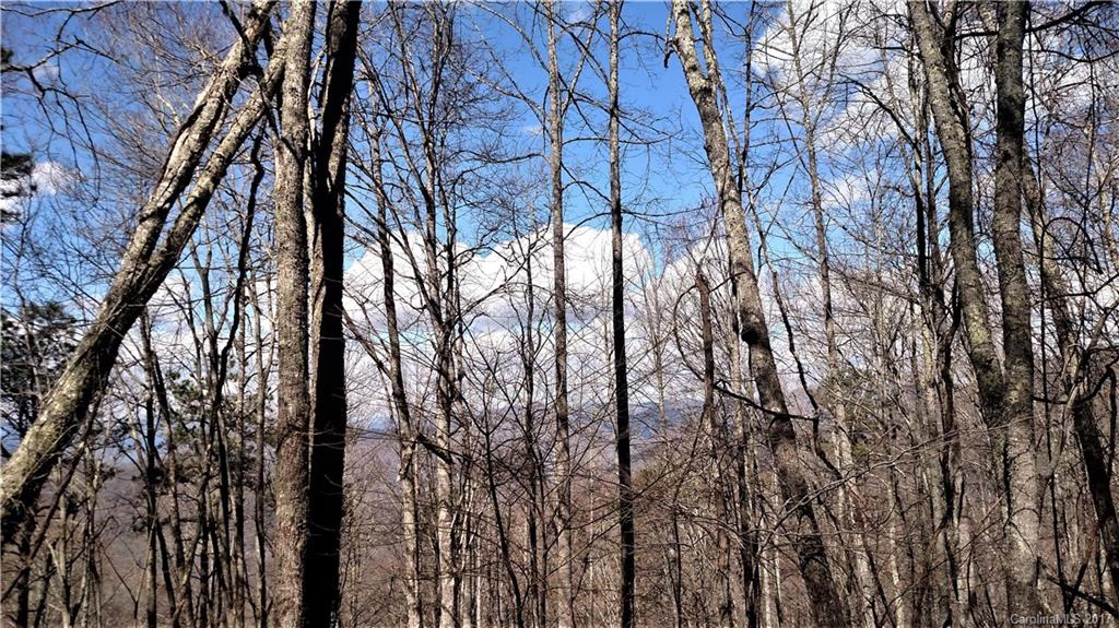 0000 Wild Turkey Lot 15 Sec 4 Dr Unit LOT 15 SEC 4  