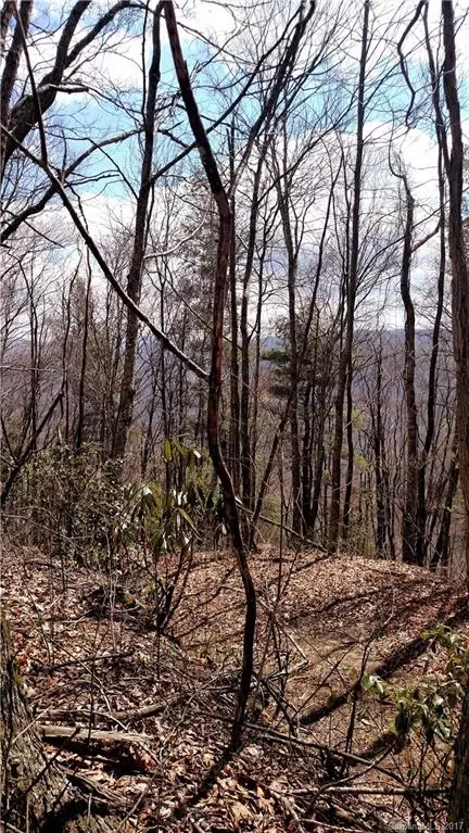 0000 Hawks Ridge Lot J Sec 6 Dr #LOT J SEC 6, Whittier, NC 28789